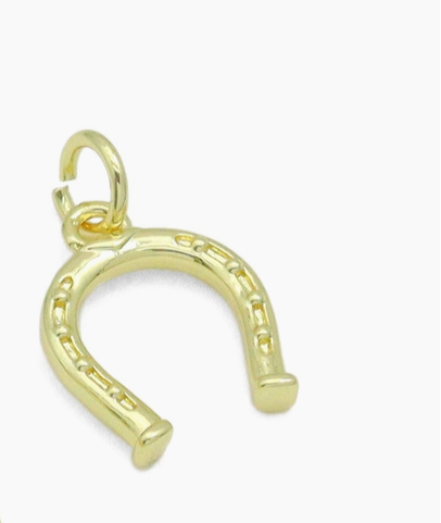 Horseshoe Charm