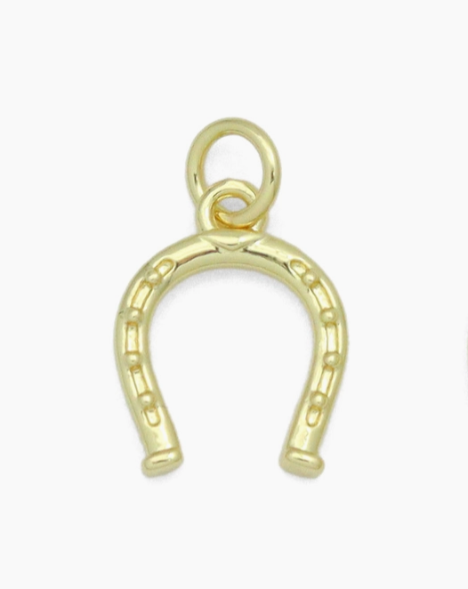 Horseshoe Charm