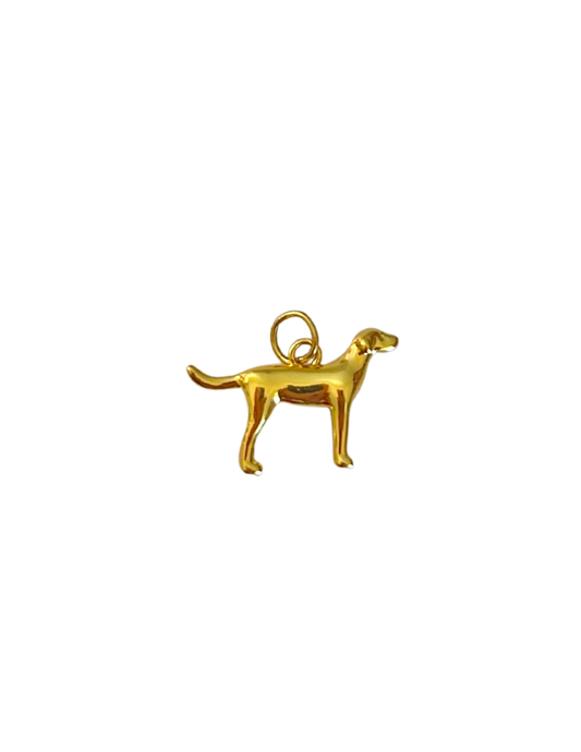 Lab Charm